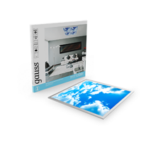 Светильник светодиодный потолочный  40W 1300lm 6500K IP20 595*595мм небо LED 1/4  846511340  Gauss