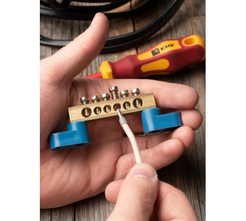 Шина "0" N (8х12мм) 6 отверстий латунь 2 синих угловых изолятора EKF PROxima  sn0-125-06-2  EKF