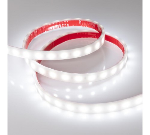 Лента светодиодная RTW 2-5000PW 12V White6000 2x (5060, 300 LED, LUX)  016169  Arlight