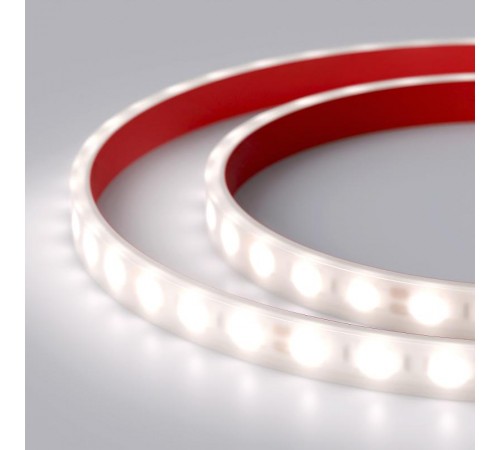 Лента светодиодная RTW 2-5000PW 12V White6000 2x (5060, 300 LED, LUX)  016169  Arlight