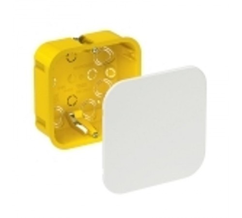 Коробка распределительная с/у 100х100х50 (для полых стен)  IMT35161  SE