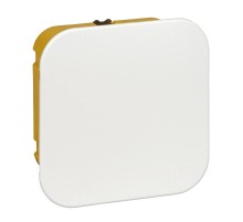 Коробка распределительная с/у 100х100х50 (для полых стен)  IMT35161  SE