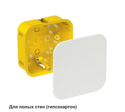Коробка распределительная с/у 100х100х50 (для полых стен)  IMT35161  SE