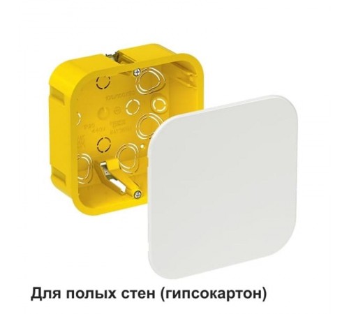 Коробка распределительная с/у 100х100х50 (для полых стен)  IMT35161  SE