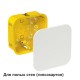 Коробка распределительная с/у 100х100х50 (для полых стен)  IMT35161  SE