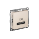 AtlasDesign Бежевый USB Розетка тип-C 65W высокоскоростной заряд QC PD  ATN000227  SE