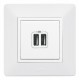 Valena LIFE DIY Белый Розетка 2-ая USB 240В/5В 1500мА  753412  Legrand