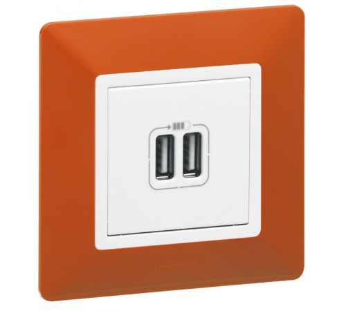 Valena LIFE DIY Белый Розетка 2-ая USB 240В/5В 1500мА  753412  Legrand
