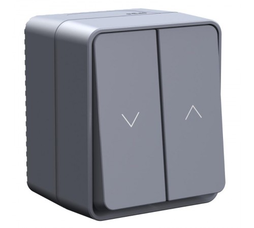 AtlasDesign Profi54 Антрацит О/У Выключатель 2-клавишный для Жалюзи, 2хсх.4  ATN544019  SE