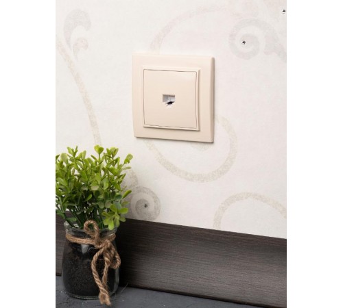 Минск Розетка RJ-45 2-местная СП бежевая EKFERK02-035-20EKF