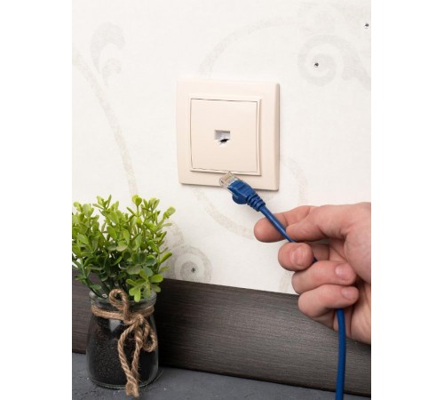 Минск Розетка RJ-45 2-местная СП бежевая EKFERK02-035-20EKF