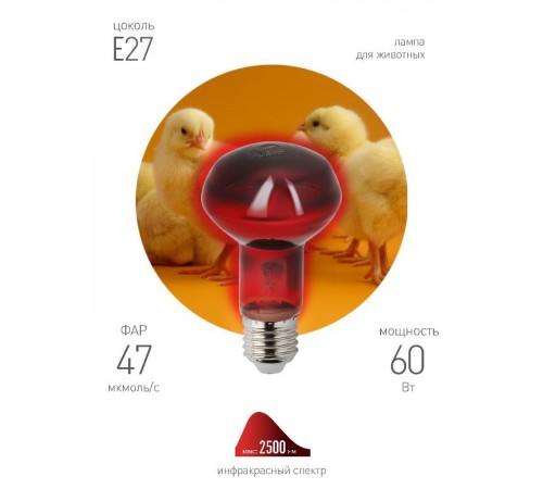 Инфракрасная лампа ИКЗК 230-60 R63 Е27 для обогрева животных 60 Вт Е27  Б0057281  ЭРА