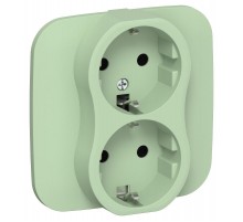 FLITE Розетка 2-ая с заземлением без шторок 16А РС12-0-А-ФлФ фисташковый  FI-R21A-16-K93  IEK