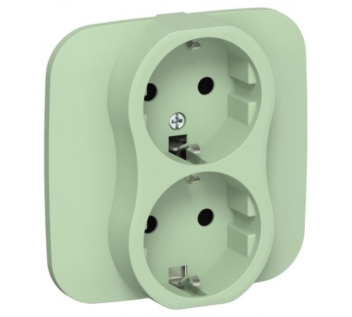 FLITE Розетка 2-ая с заземлением без шторок 16А РС12-0-А-ФлФ фисташковый  FI-R21A-16-K93  IEK