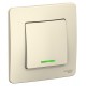 Blanca Молочный С/У Выключатель 1-клавишный с подсветкой, 10А, 250B  BLNVS010112  SE