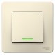 Blanca Молочный С/У Выключатель 1-клавишный с подсветкой, 10А, 250B  BLNVS010112  SE