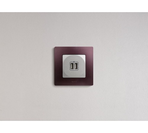 Etika Алюминий Розетка USB 2-ая 240В/5В 2400мА  672494  Legrand