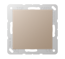 Крышка без отверстий, фиксация защёлкиванием, для произвольных вырезов (либо использование в качестве заглушки), возможно IP44; термопласт; шампань; A