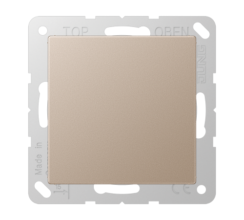 Крышка без отверстий, фиксация защёлкиванием, для произвольных вырезов (либо использование в качестве заглушки), возможно IP44; термопласт; шампань; A