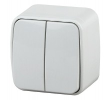 3-104-01 Intro Выключатель двойной, 10А-250В, IP20, ОУ, Polo, белый  Б0036095  Intro