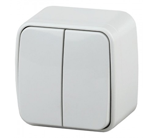 3-104-01 Intro Выключатель двойной, 10А-250В, IP20, ОУ, Polo, белый  Б0036095  Intro