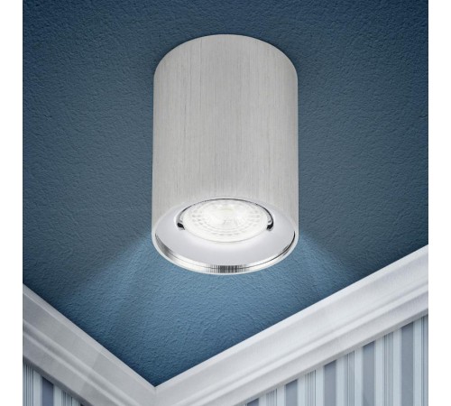 Светильник трековый OL1 GU10 SL/CH накладной, GU10, D80*100мм, серебро/ хром  Б0041504  ЭРА