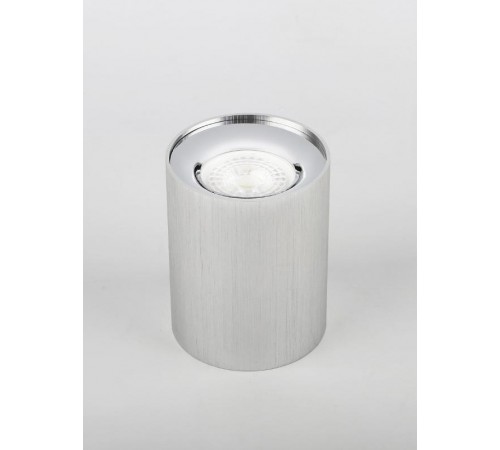 Светильник трековый OL1 GU10 SL/CH накладной, GU10, D80*100мм, серебро/ хром  Б0041504  ЭРА