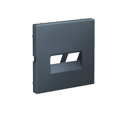 ArtGallery Грифель Накладка двойная для информационных функций типа Keystone  GAL000790  SE