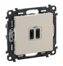 Valena LIFE Сл. кость Зарядное устройство с 2-мя USB-разьемами тип С-тип С 240В/5В 3000мА С лицевой панелью  753207  Legrand