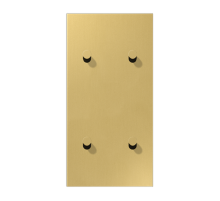 Центральная плата, 2 поста, для вертикальной установки, тумблеры 2+2,конус; металлическое исполнение; латунь классик; серия LS  ME12-25CK25  Jung