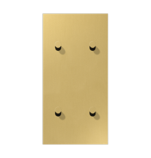 Центральная плата, 2 поста, для вертикальной установки, тумблеры 2+2,конус; металлическое исполнение; латунь классик; серия LS  ME12-25CK25  Jung