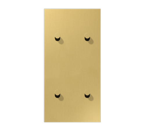 Центральная плата, 2 поста, для вертикальной установки, тумблеры 2+2,конус; металлическое исполнение; латунь классик; серия LS  ME12-25CK25  Jung