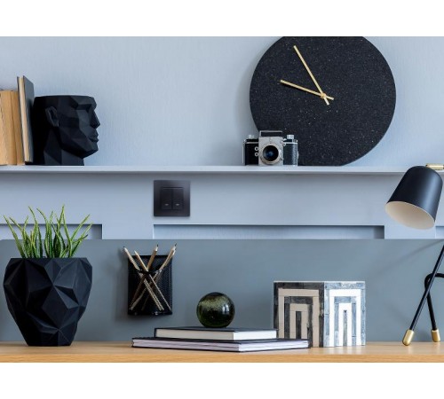 Etika Антрацит Выключатель 2-клавишный с подсветкой/индикацией, автозажимные клеммы, 10 AX, 250 В  672604  Legrand