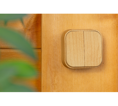 Quteo Сосна Выключатель 2-клавишный 10А  782262  Legrand