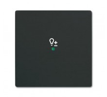 Клавиша одинарная free@home, светорегулятор, future, цвет чёрный бархат  2CKA006220A0622  ABB