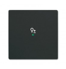 Клавиша одинарная free@home, светорегулятор, future, цвет чёрный бархат  2CKA006220A0622  ABB