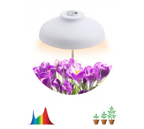 Светильник светодиодный настольный фито для растений/для грунта белый спектр FITO-12W-FLED  Б0039068  ЭРА