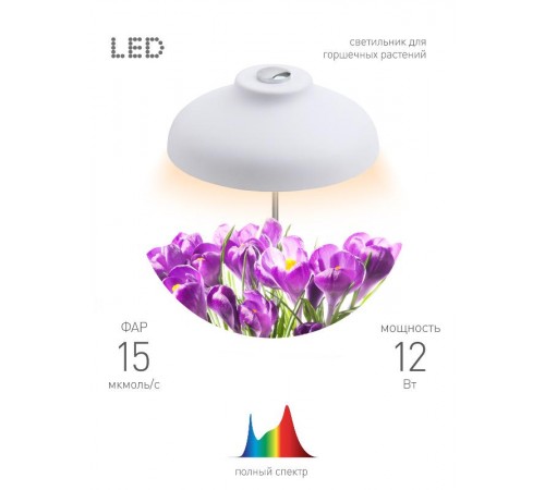 Светильник светодиодный настольный фито для растений/для грунта белый спектр FITO-12W-FLED  Б0039068  ЭРА