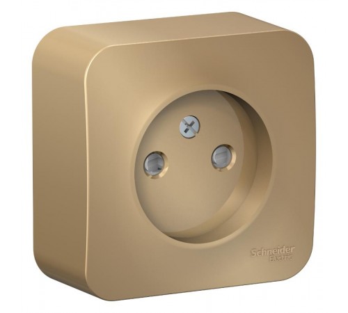 Blanca Титан О/У с изолирующей пластиной Титан Розетка без заземления со шторками 16А, 250В  BLNRA001114  SE