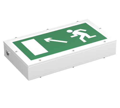 Световой указатель аварийного освещения BS-FLAGMAN-81-S1-INEXI3-FELS  a17396  Белый свет