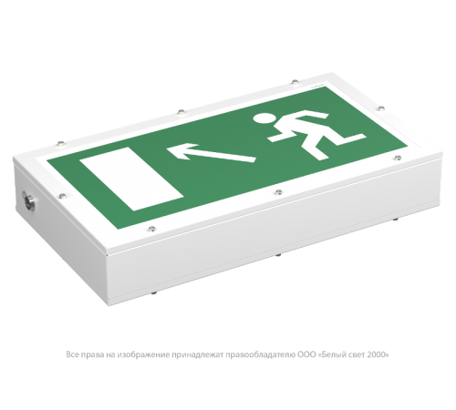 Световой указатель аварийного освещения BS-FLAGMAN-81-S1-INEXI3-FELS  a17396  Белый свет