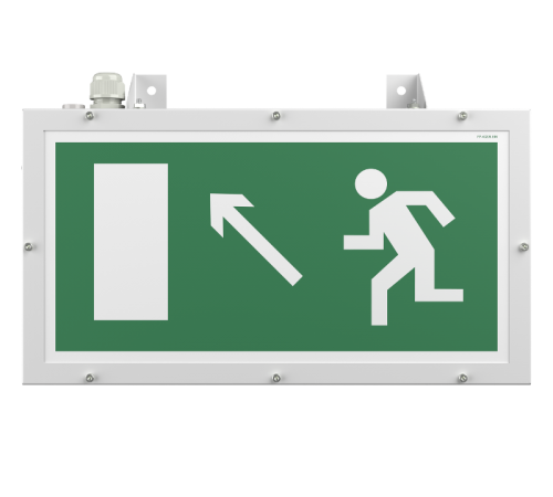 Световой указатель аварийного освещения BS-FLAGMAN-81-S1-INEXI3-FELS  a17396  Белый свет