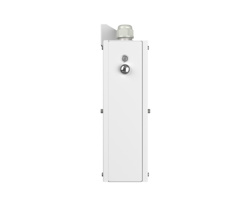 Световой указатель аварийного освещения BS-FLAGMAN-81-S1-INEXI3-FELS  a17396  Белый свет