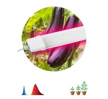 Светильник светодиодный для растений красно-синий спектр ЭРА FITO-36W-RB-N  Б0045697  ЭРА