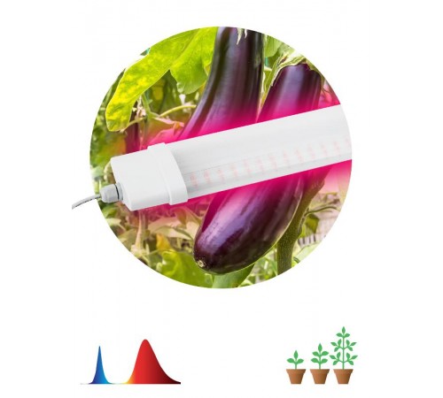 Светильник светодиодный для растений красно-синий спектр ЭРА FITO-36W-RB-N  Б0045697  ЭРА