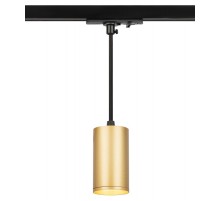 Светильник трековый однофазный TR45 - GU10 S MG подвесной 52*100 мм под лампу MR16 золото  Б0054184  ЭРА