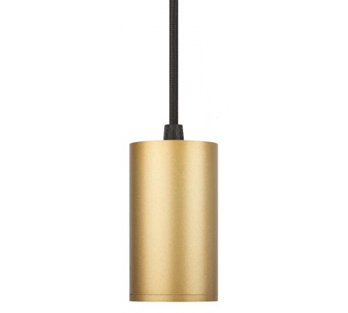 Светильник трековый однофазный TR45 - GU10 S MG подвесной 52*100 мм под лампу MR16 золото  Б0054184  ЭРА