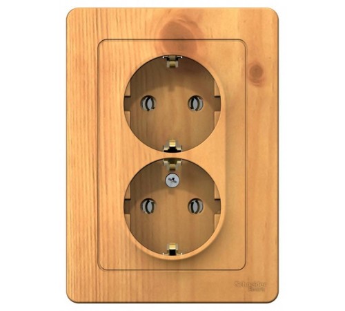 Blanca Ясень С/У Розетка 2-ая с заземлением без шторок, 16А, 250В  BLNRS001025  SE