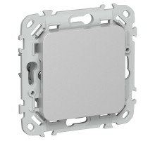 FLITE Заглушка с суппортом ЗГ-ФлА алюминий  FI-PL10-K47  IEK