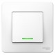 Blanca Белый С/У Выключатель 1-клавишный с подсветкой, 10А, 250B  BLNVS010111  SE